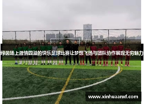 绿茵场上激情四溢的快乐足球比赛让梦想飞扬与团队协作展现无穷魅力